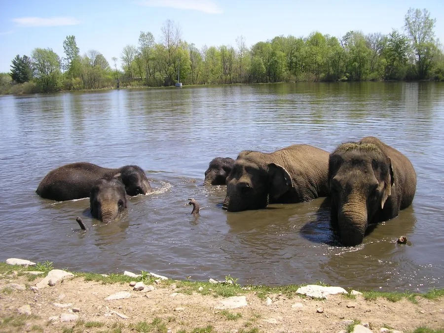 What changed in African Safari, Wildlife & Adventure Travel