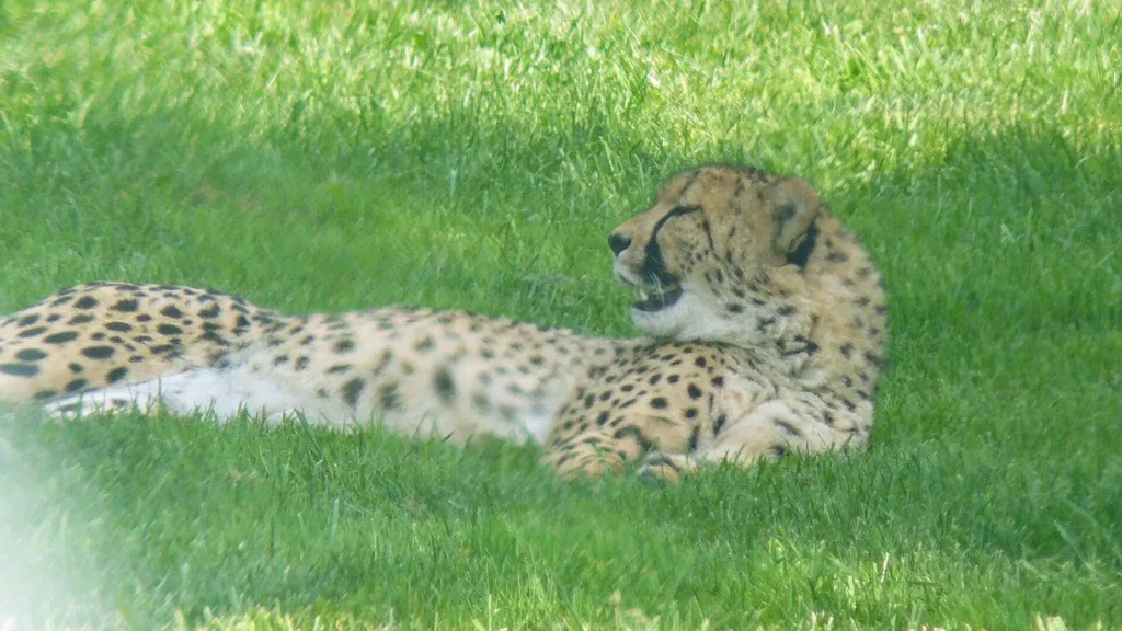 Hello world!