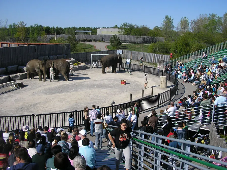 African Safari, Wildlife & Adventure Travel questions