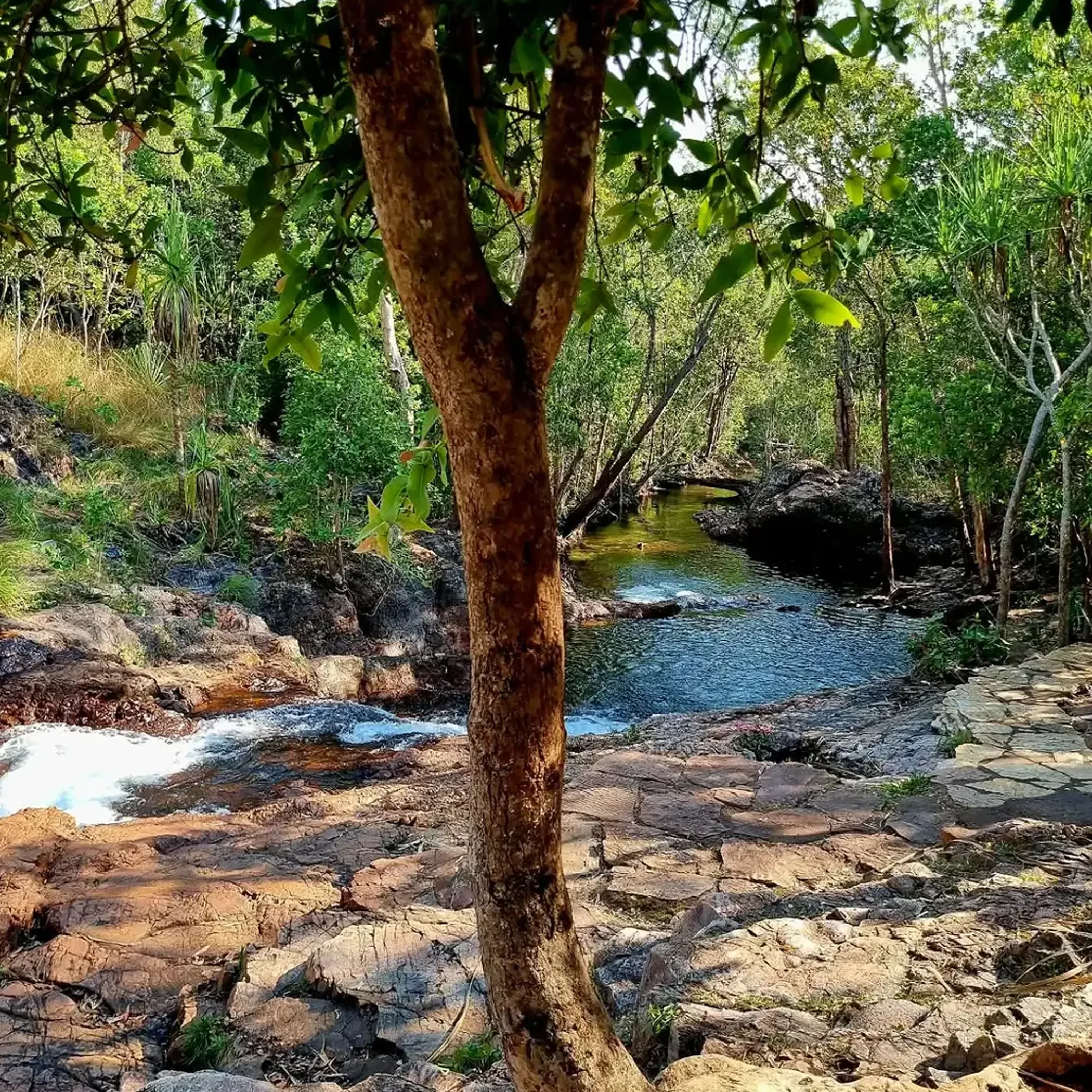 natural water area in australian outback