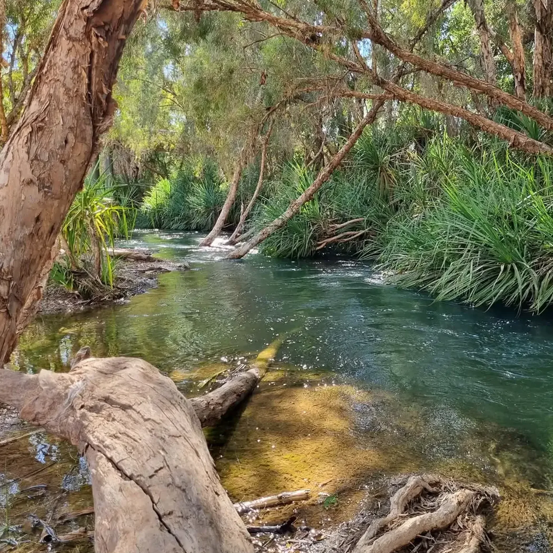 river in australian outback camping area