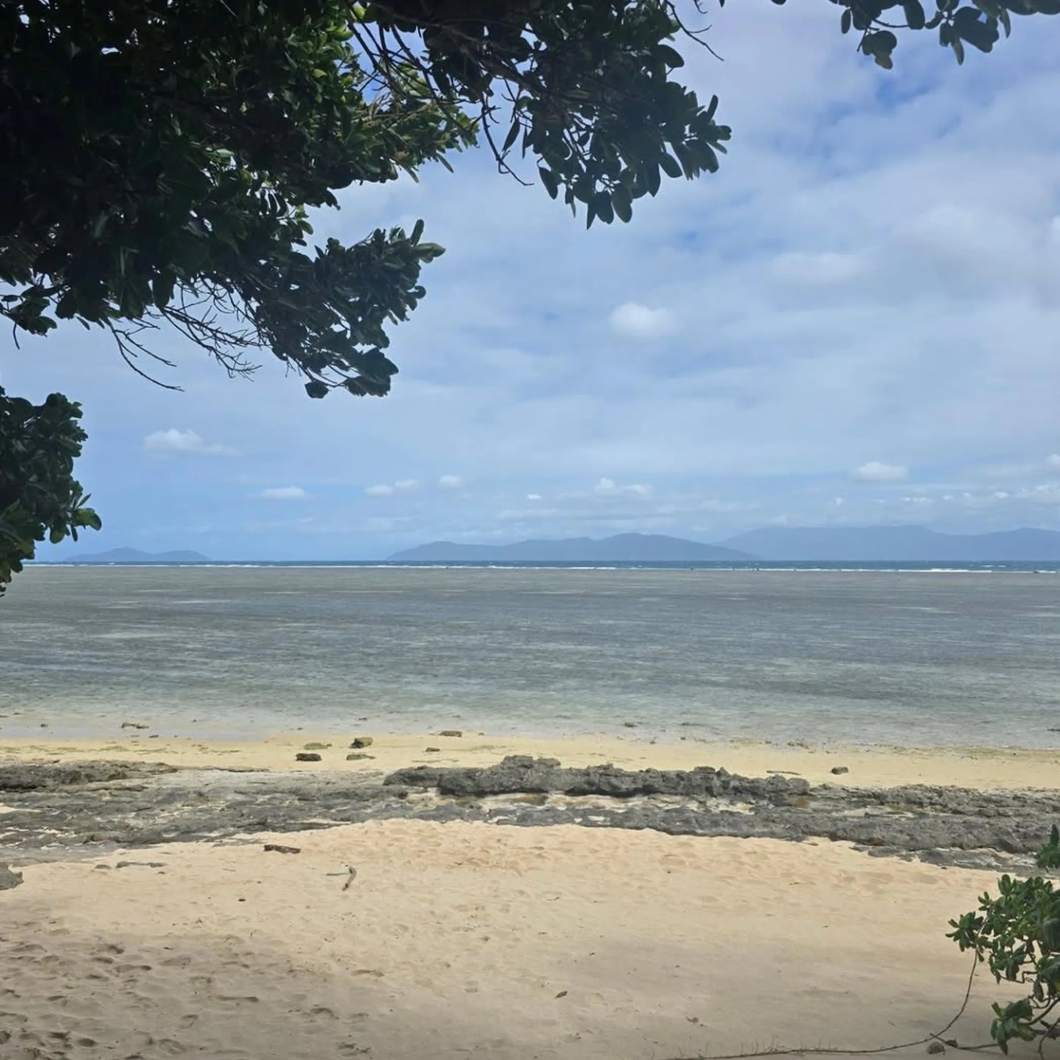 queensland island beach scene
