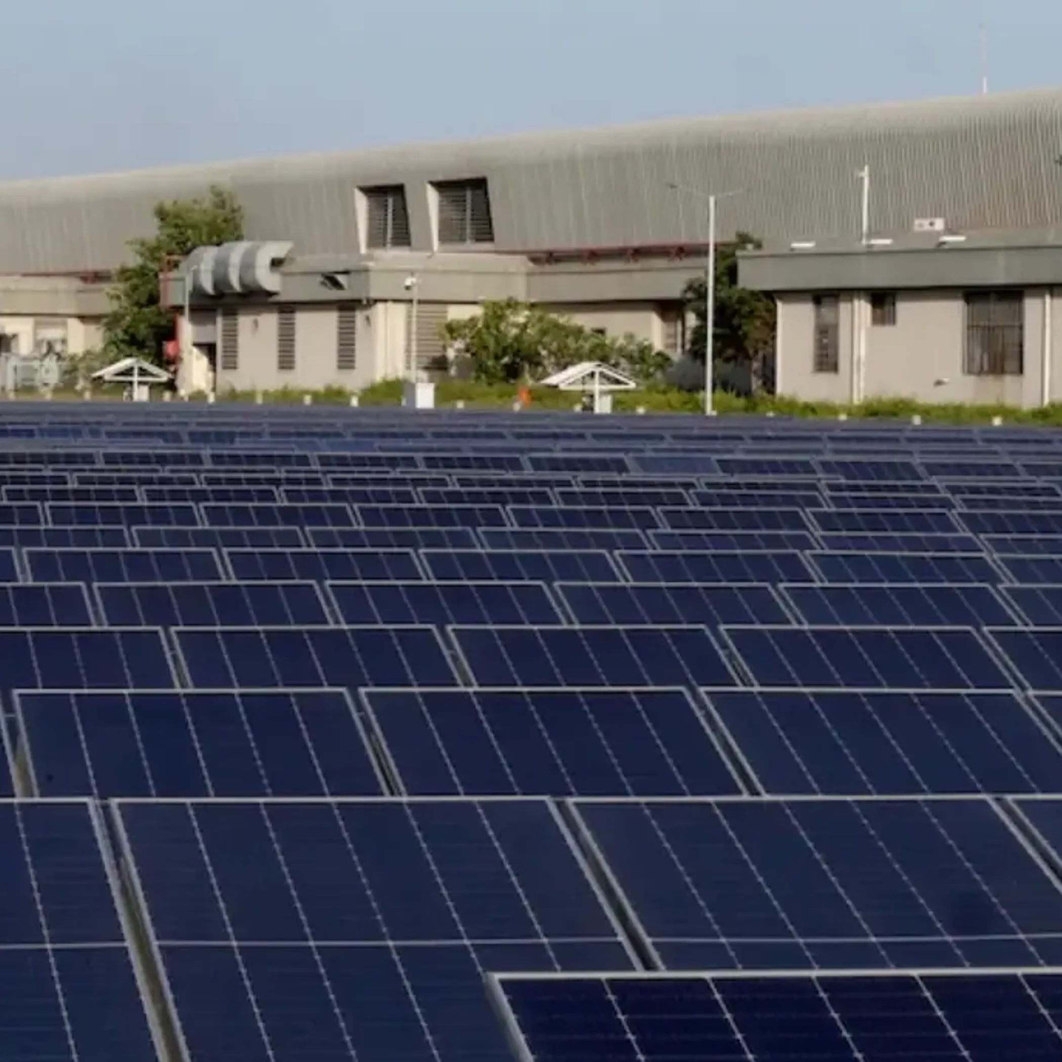 solar panels in a clean photograph